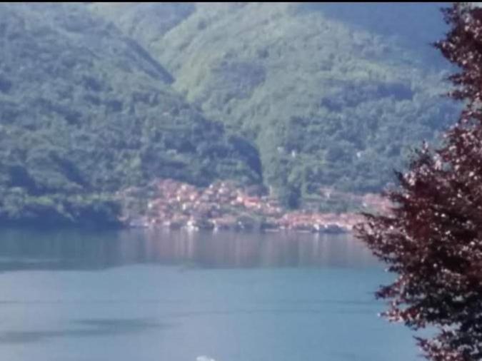 Residence Belvedere Apartment Bolvedro Tremezzo Dış mekan fotoğraf